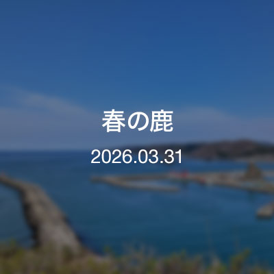 浦河通信　春の鹿