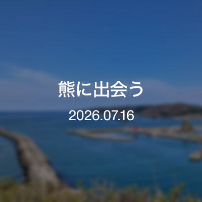 浦河通信　熊に出会う