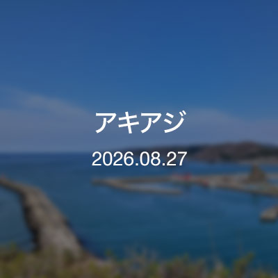 浦河通信　アキアジ